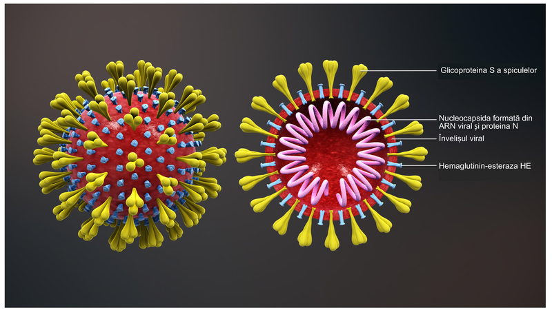 CORONAVIRUS